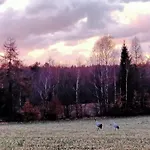 Gdzie Spia Zurawie * Szymbark (Pomerania)