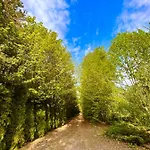 Domek Gdzie Spia Zurawie * Szymbark (Pomerania)