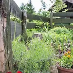 Tatil Evi Domek Gdzie Spia Zurawie *
