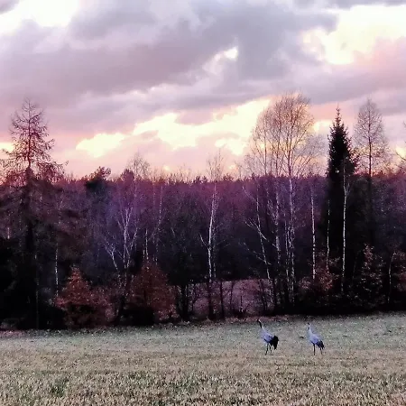 Gdzie Spia Zurawie * Szymbark (Pomerania)