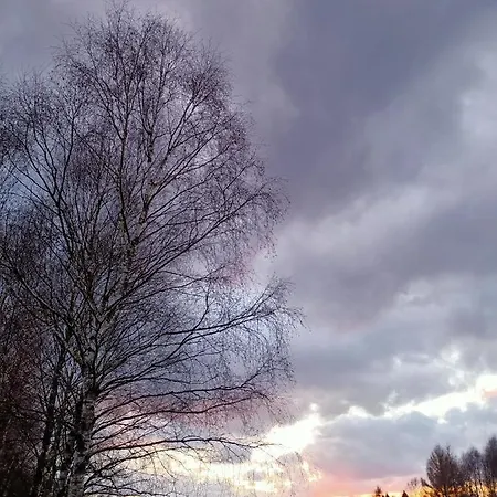 Gdzie Spia Zurawie Szymbark (Pomerania)