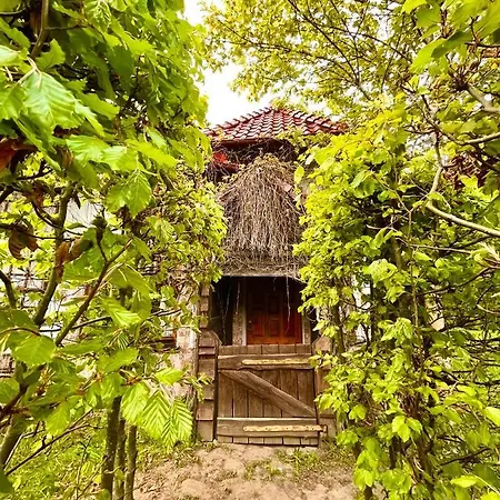 Holiday home Gdzie Spia Zurawie
