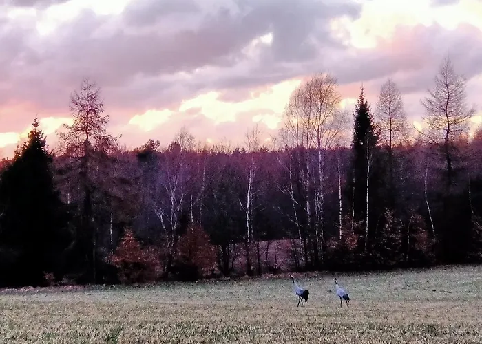 Domek Gdzie Spia Zurawie * Szymbark (Pomerania)