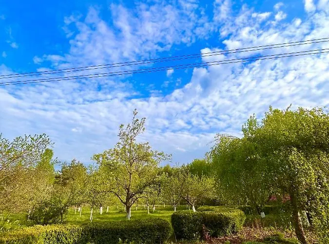 Domek Gdzie Spia Zurawie