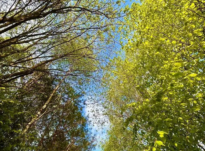 Na Koncu Swiata Semesterbostad Szymbark (Pomerania)