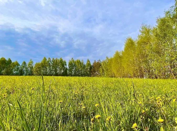 Tatil Evi Na Koncu Swiata *