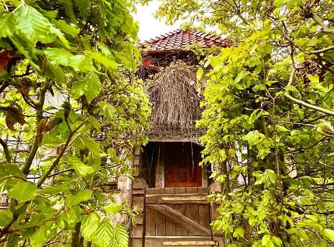 Tatil Evi Na Koncu Swiata