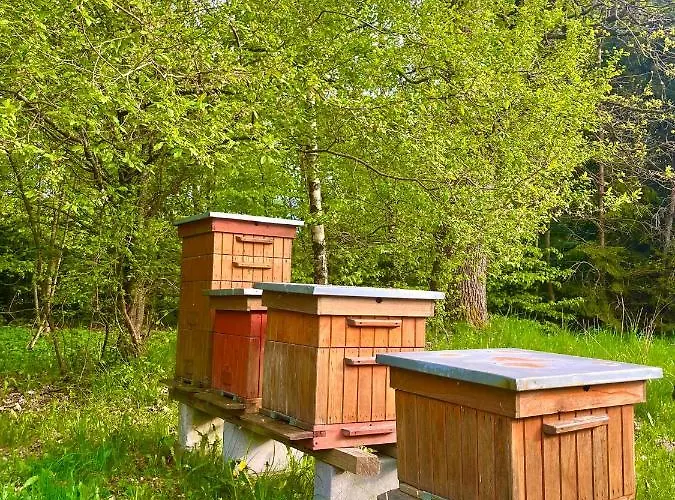 Tatil Evi Na Koncu Swiata *