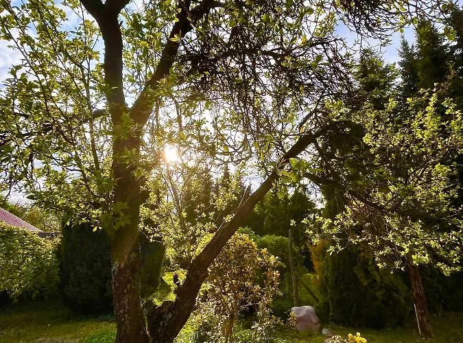 Tatil Evi Na Koncu Swiata Szymbark (Pomerania)
