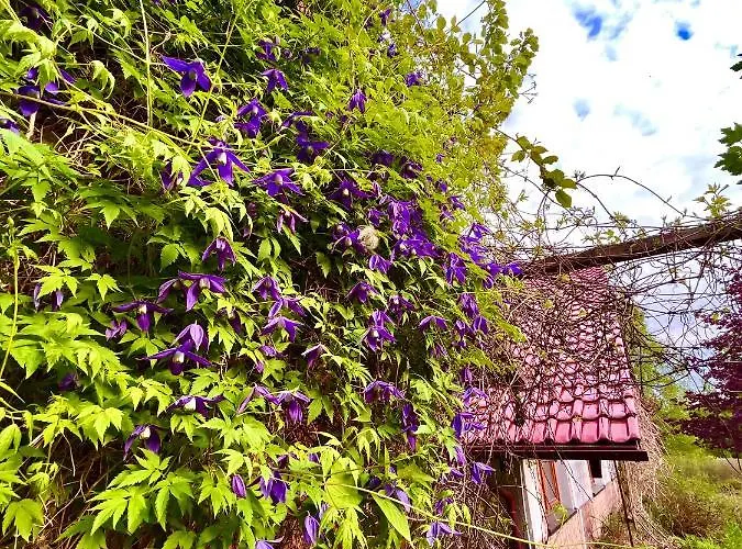 Na Koncu Swiata * Szymbark (Pomerania)