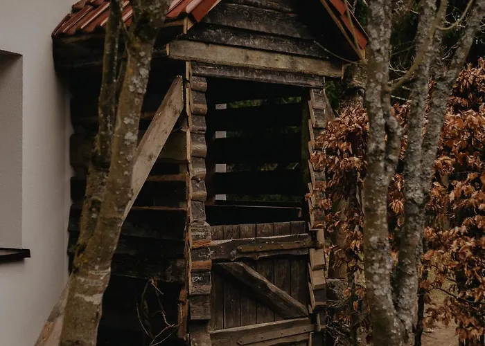 Domek Gdzie Spia Zurawie Szymbark (Pomerania)