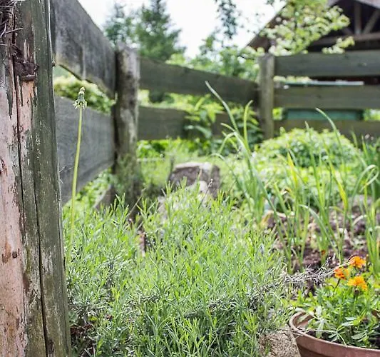 Semesterbostad Domek Gdzie Spia Zurawie *